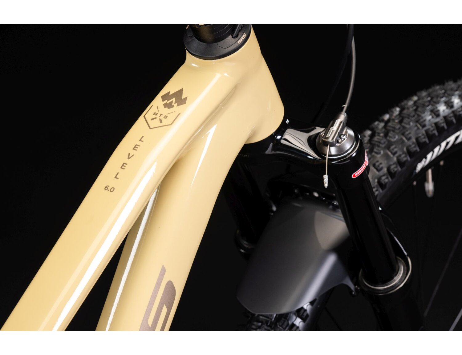  Aluminowa rama oraz zbliżenie na nazwę w rowerze górskim damskim MTB Woman XC KROSS Level 6.0 